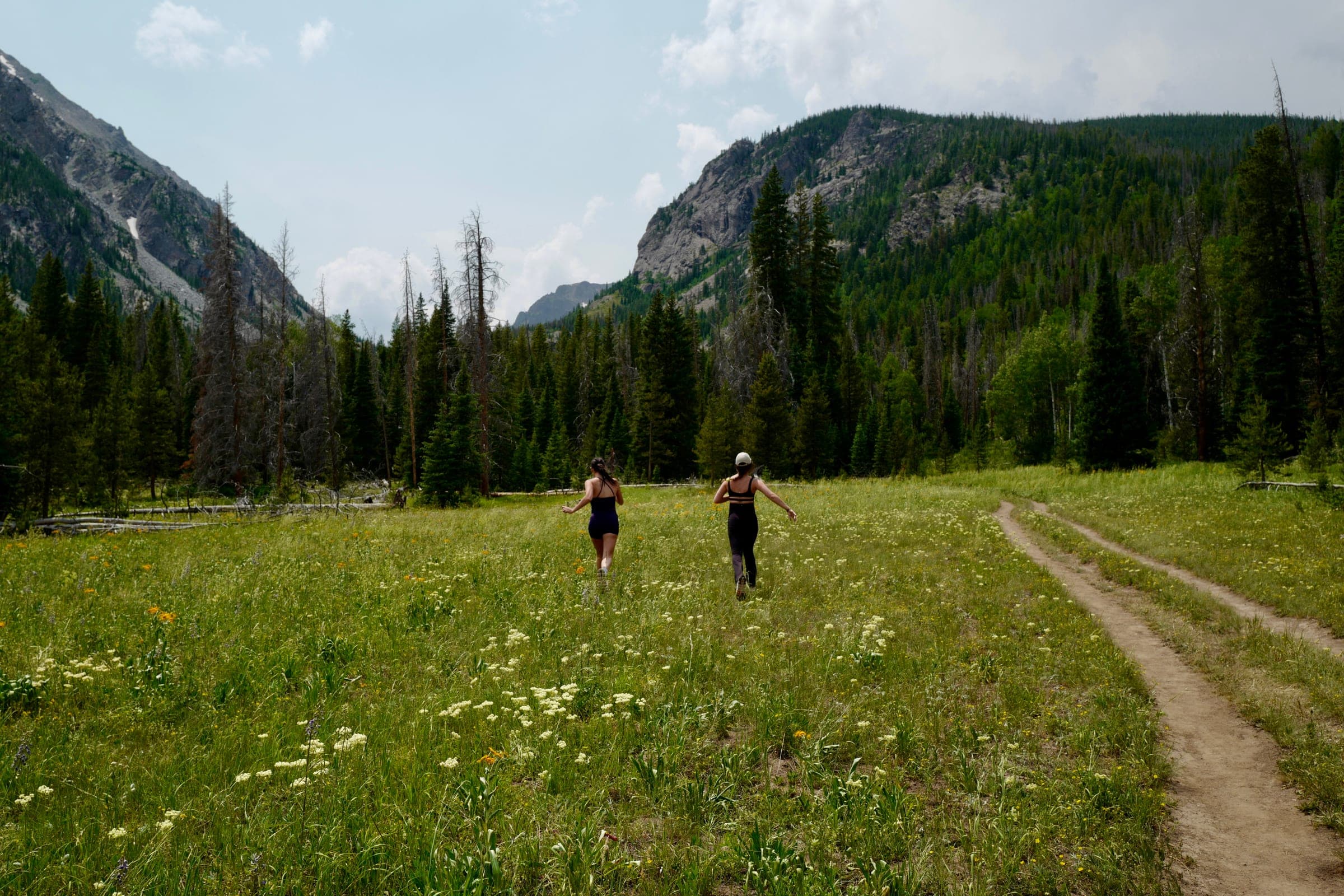 Hikers crossing a wildflower meadow in a mountain valley